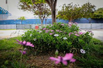 WhatsApp Image 2025-10-24 at 16.44.22 (1).jpeg